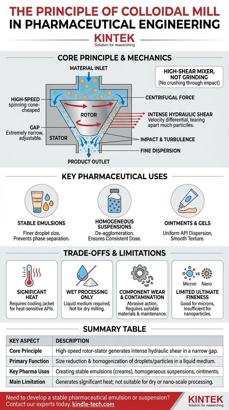 Qual è il principio del mulino colloidale nell'ingegneria farmaceutica? Ottenere emulsioni stabili e sospensioni omogenee Guida Visiva