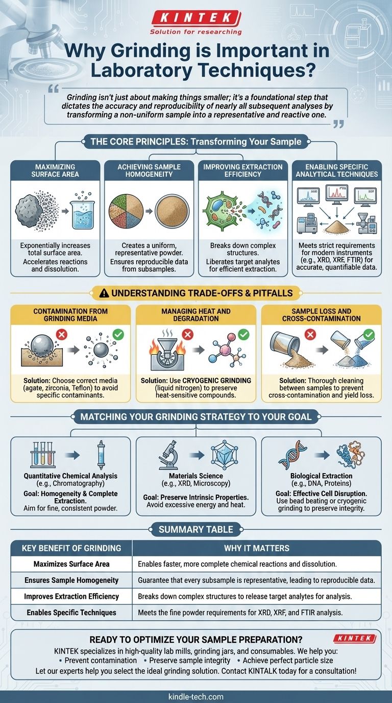 なぜ実験技術において粉砕が重要なのでしょうか？正確で再現性のある結果を保証するために ビジュアルガイド