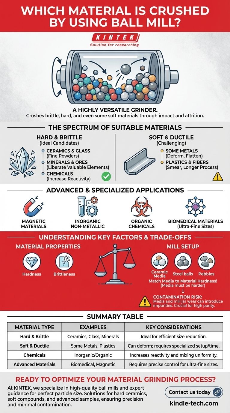Which material is crushed by using ball mill? A Guide to Versatile Grinding Solutions Visual Guide