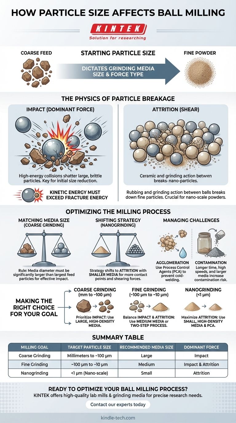 كيف يؤثر حجم الجسيمات على الطحن الكروي؟ أتقن العلم لتقليل الحجم بكفاءة دليل مرئي