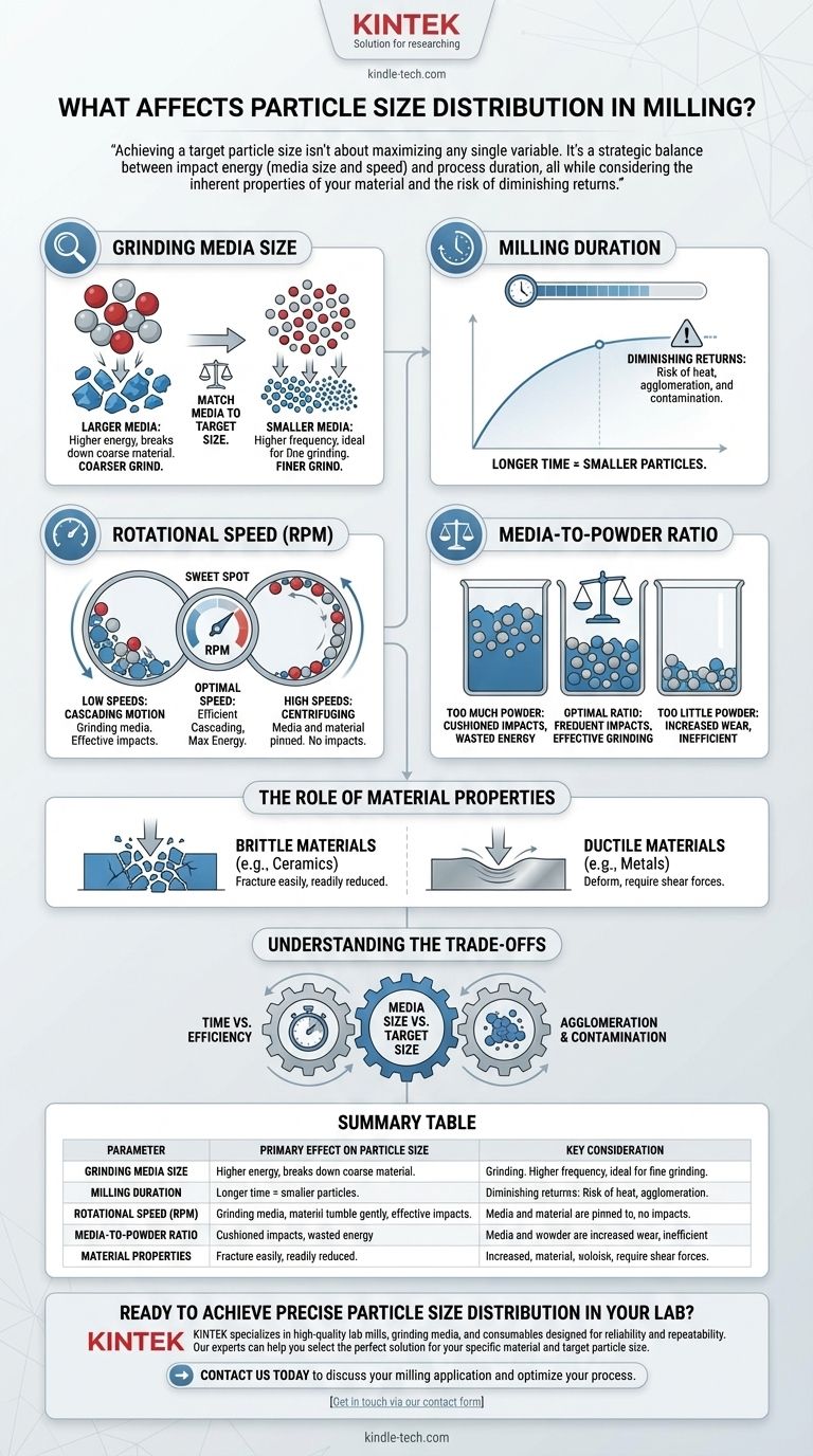 Что влияет на распределение частиц по размерам при измельчении? Освойте основные параметры для точного контроля Визуальное руководство