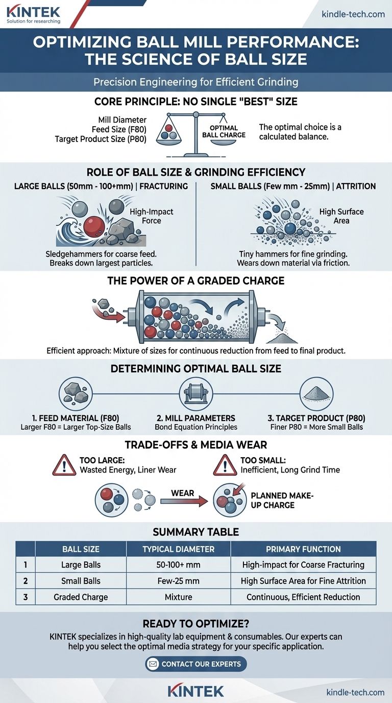 ¿Cuáles son los diferentes tamaños de bolas en un molino de bolas? Optimice su eficiencia de molienda Guía Visual