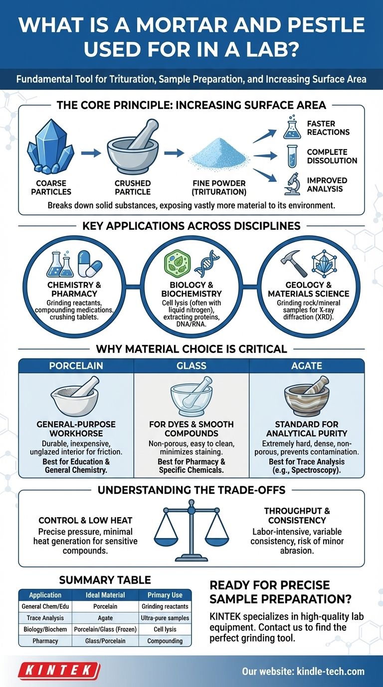ما هو استخدام الهاون والمدقة في المختبر؟ دليل لطحن وخلط العينات بدقة دليل مرئي