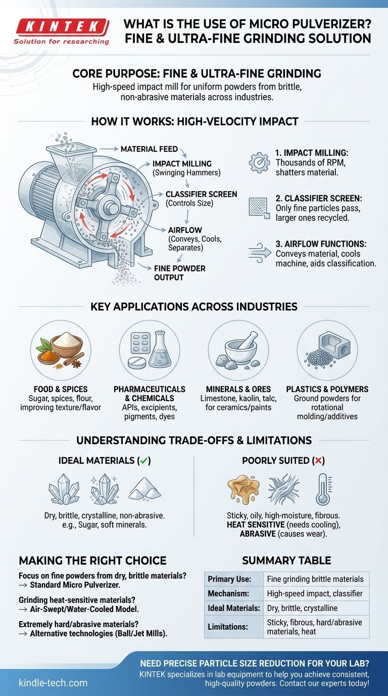 Quel est l'usage d'un micro-pulvérisateur ? Obtenir un broyage fin pour l'alimentation, la pharmacie et la chimie Guide Visuel