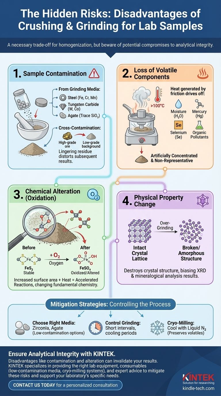 通过破碎和研磨从粗样中制备实验室样品有哪些缺点？避免污染和数据错误 图解指南