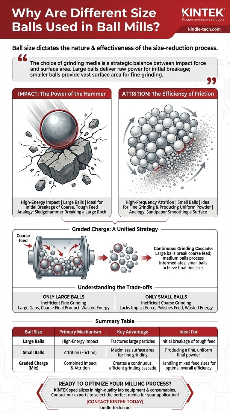 Pourquoi utilise-t-on des boulets de différentes tailles dans un broyeur à boulets ? Optimiser le broyage pour une efficacité maximale Guide Visuel