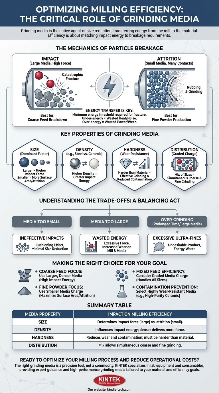 粉砕効率における粉砕メディアの役割とは？最適な結果を得るために、メディアサイズを材料に合わせて調整しましょう ビジュアルガイド