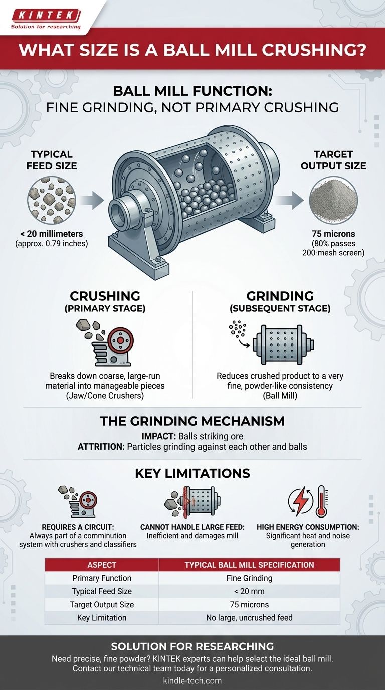Quelle est la taille d'alimentation d'un broyeur à boulets ? Comprendre son rôle en tant qu'outil de broyage, et non de concassage Guide Visuel