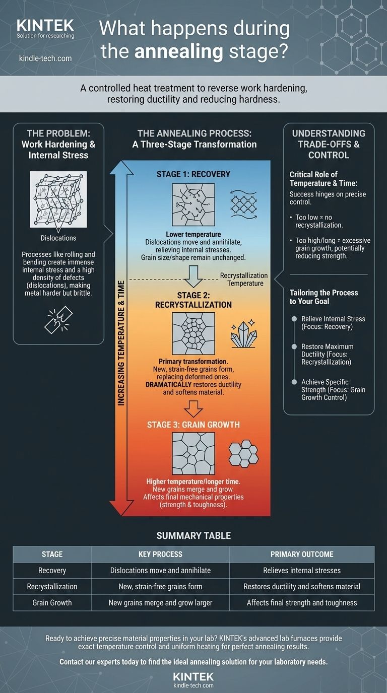 焼鈍（アニーリング）段階では何が起こるのか？金属変態の3段階ガイド ビジュアルガイド