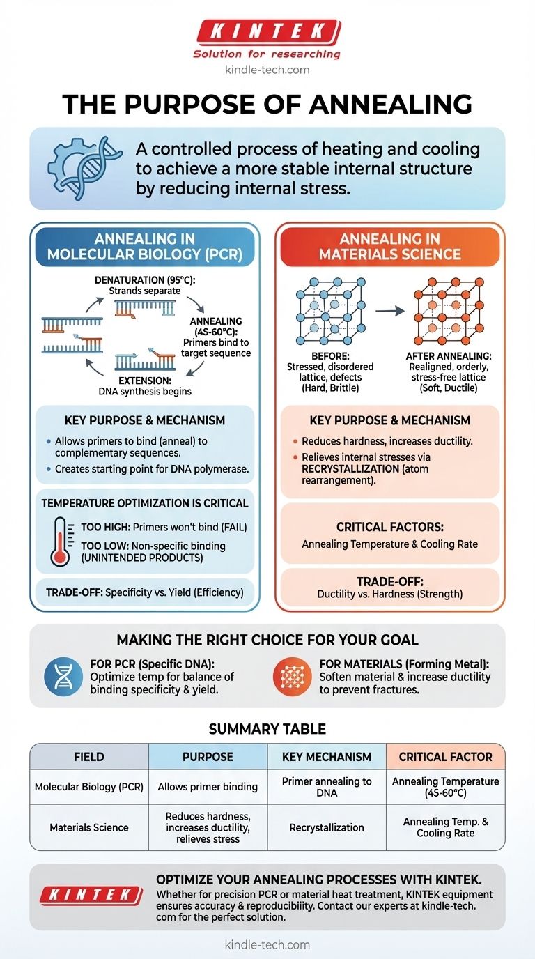 Quel est l'objectif de l'étape de recuit ? Atteindre la stabilité dans l'amplification de l'ADN et les propriétés des matériaux Guide Visuel