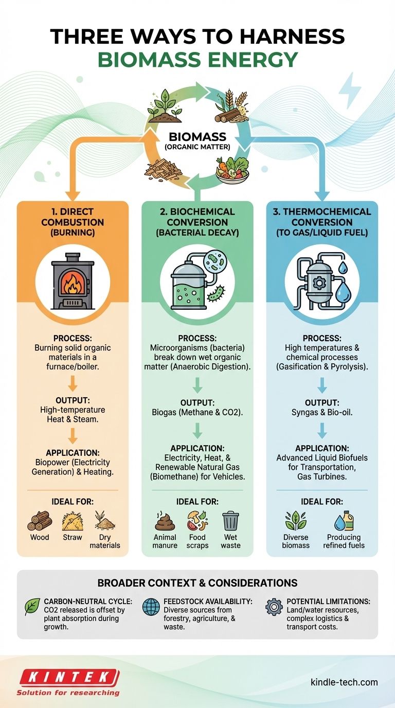 バイオマスをエネルギー源として利用するには、主に3つの方法があります。有機物から電力を生み出す ビジュアルガイド