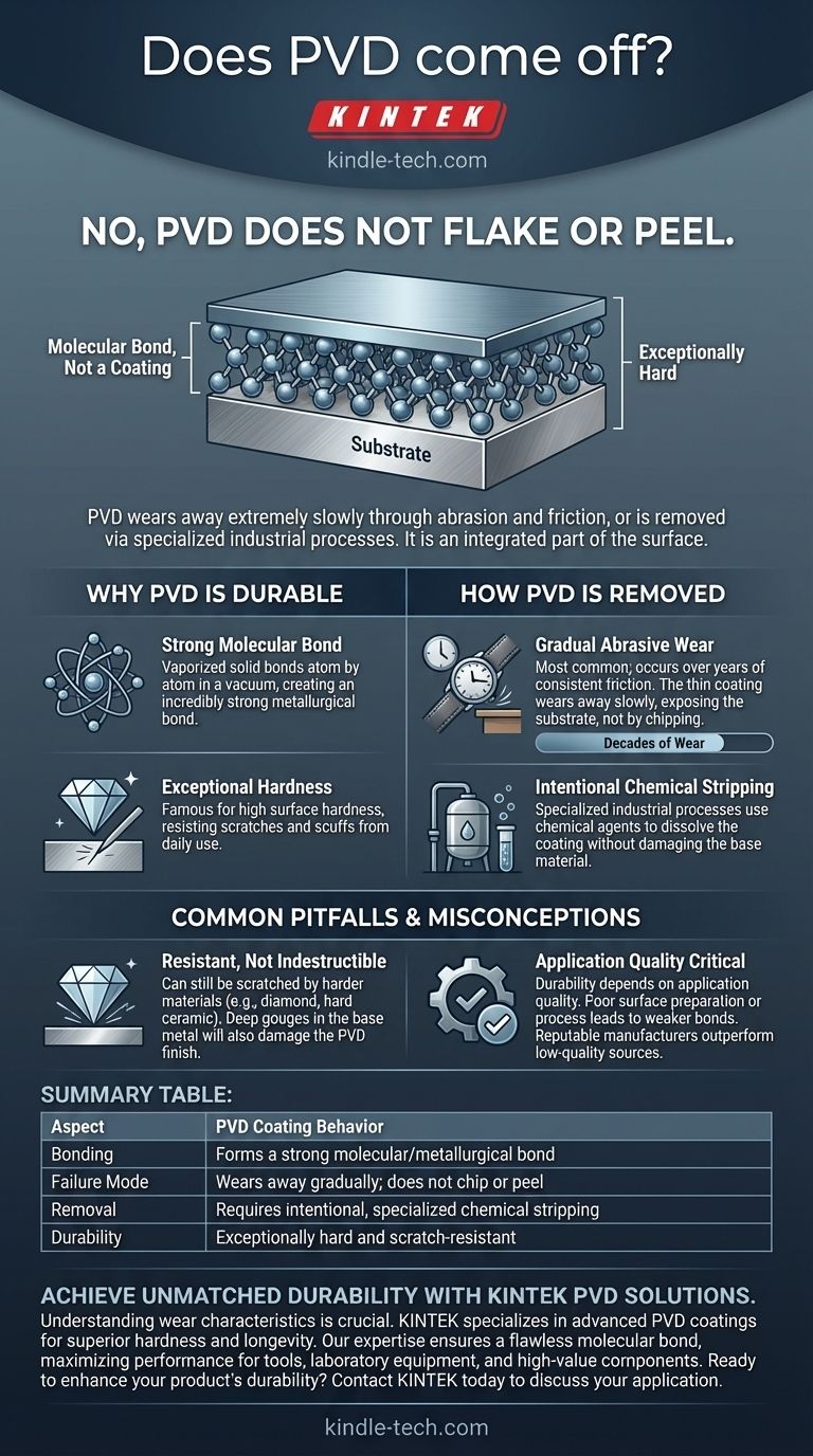 Le PVD s'enlève-t-il ? Pourquoi il s'use, ne s'écaille pas, pour une durabilité supérieure Guide Visuel