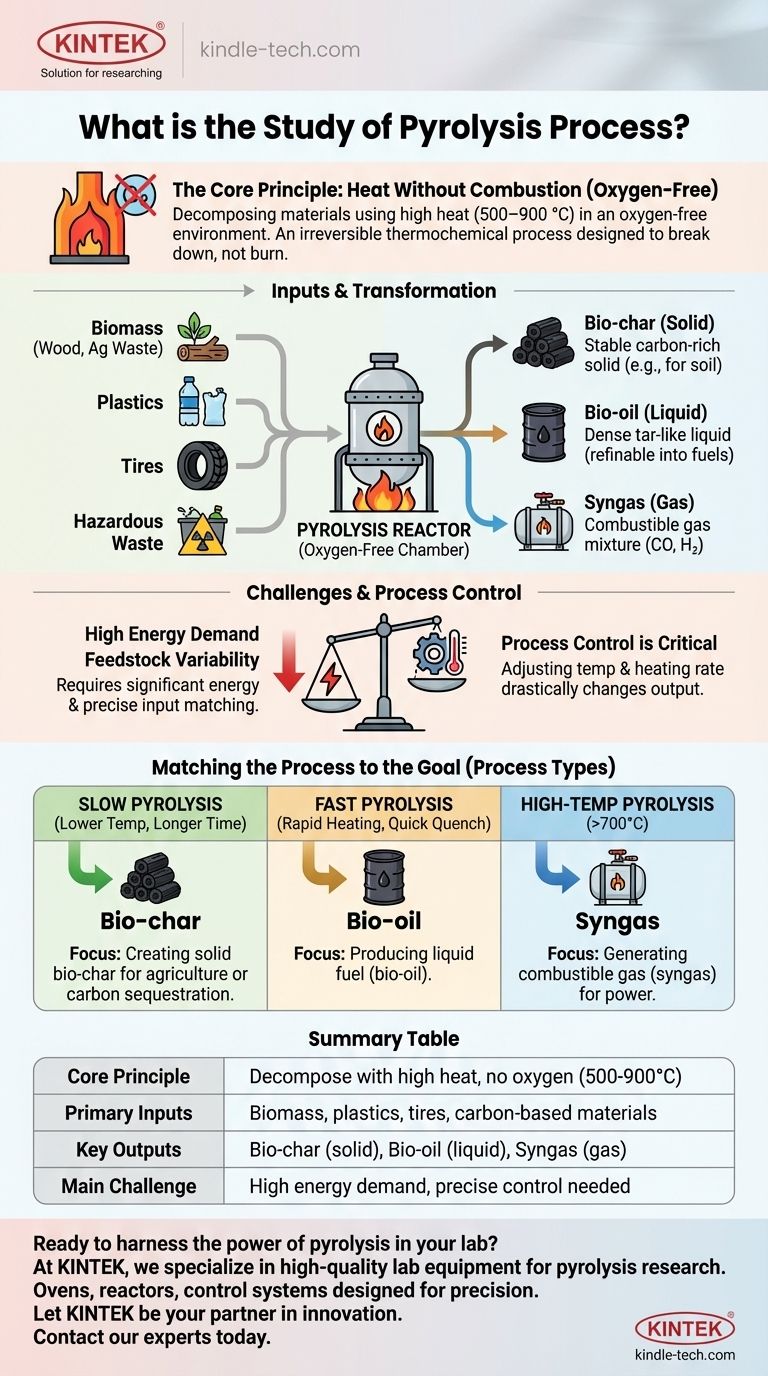 Cos'è lo studio del processo di pirolisi? Convertire i rifiuti in risorse preziose con il calore Guida Visiva