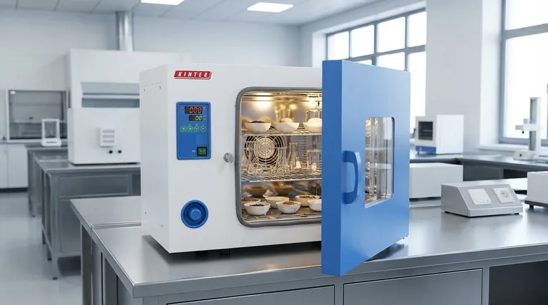 건조 오븐이란 무엇인가? 제어된 수분 제거 및 열 처리 가이드