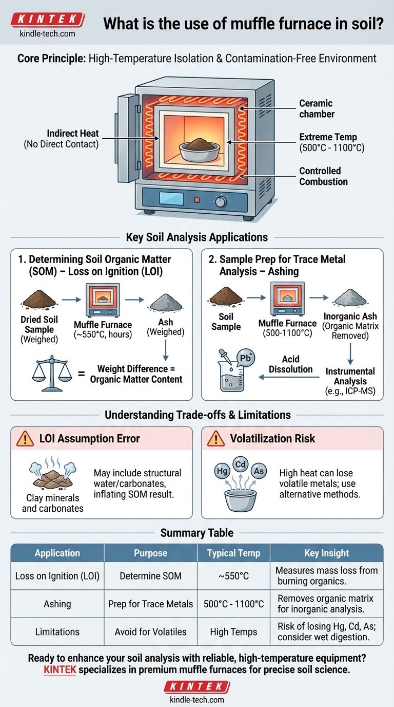 ما هو استخدام الفرن الصامت (Muffle Furnace) في التربة؟ تحليل تكوين التربة بدقة عالية الحرارة دليل مرئي