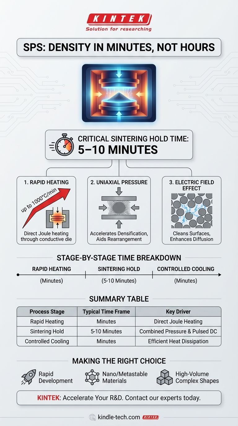Quel est le temps de frittage par plasma étincelle ? Atteindre la densification complète en quelques minutes Guide Visuel