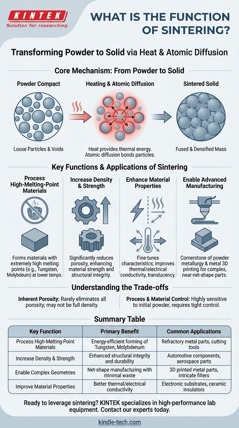 烧结的功能是什么？将粉末转化为坚固的固体部件 图解指南