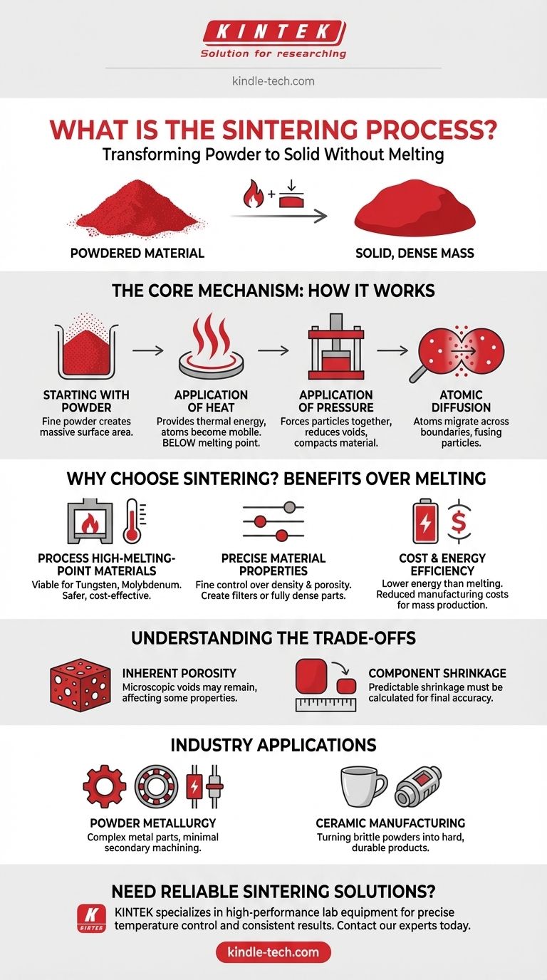 What is meant by sintering process? A Guide to Solid-State Manufacturing Visual Guide