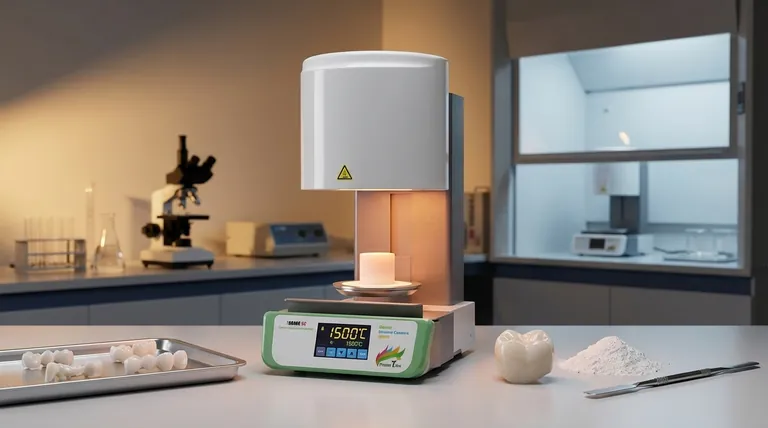 ¿Qué se entiende por el proceso de sinterización? Una guía para la fabricación en estado sólido