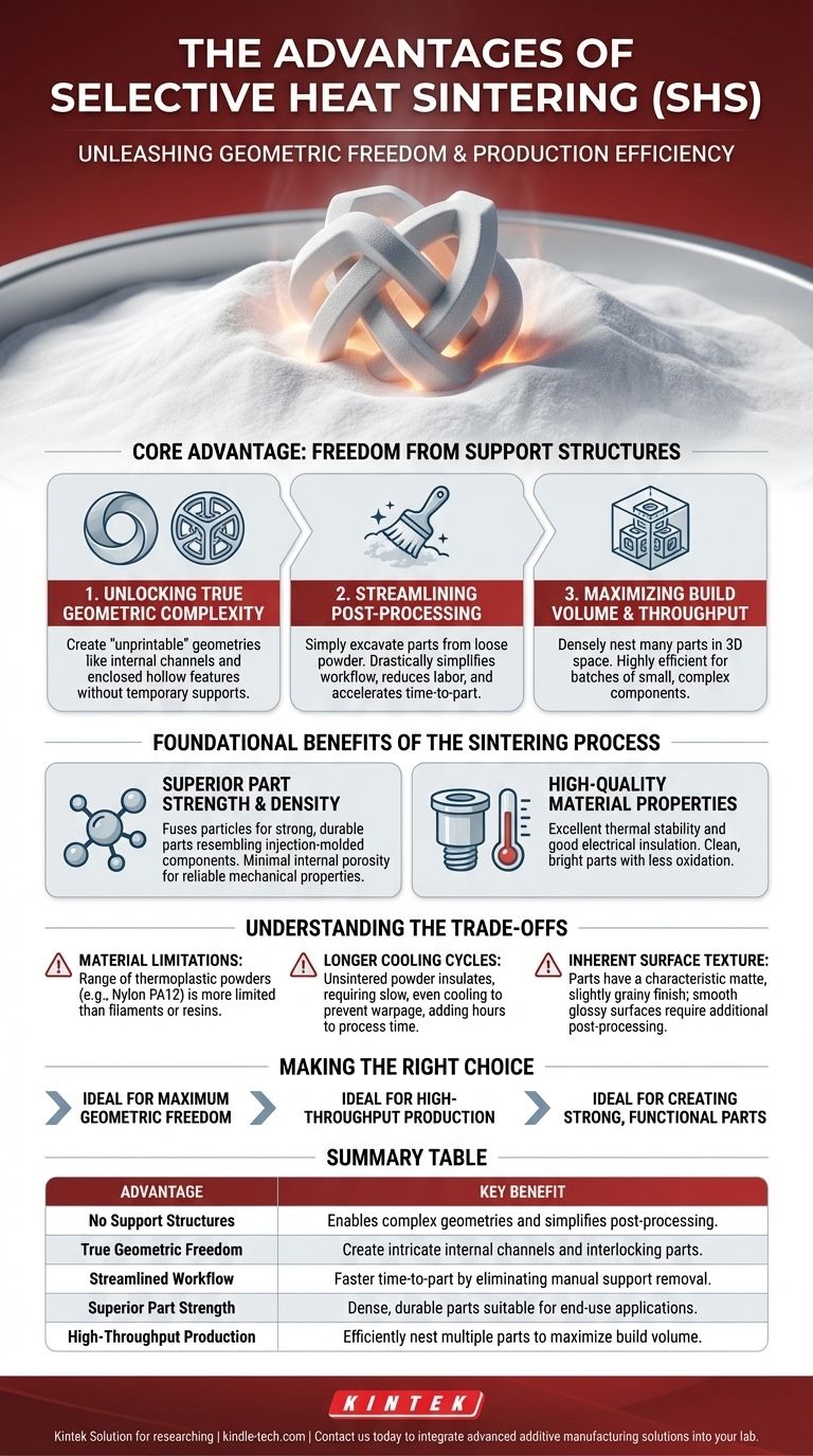 Каковы преимущества селективного спекания нагревом? Создавайте сложные 3D-печатные детали без поддержек Визуальное руководство