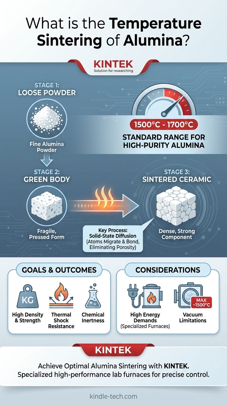 Какова температура спекания оксида алюминия? Раскройте превосходные характеристики при температуре от 1500°C до 1700°C Визуальное руководство