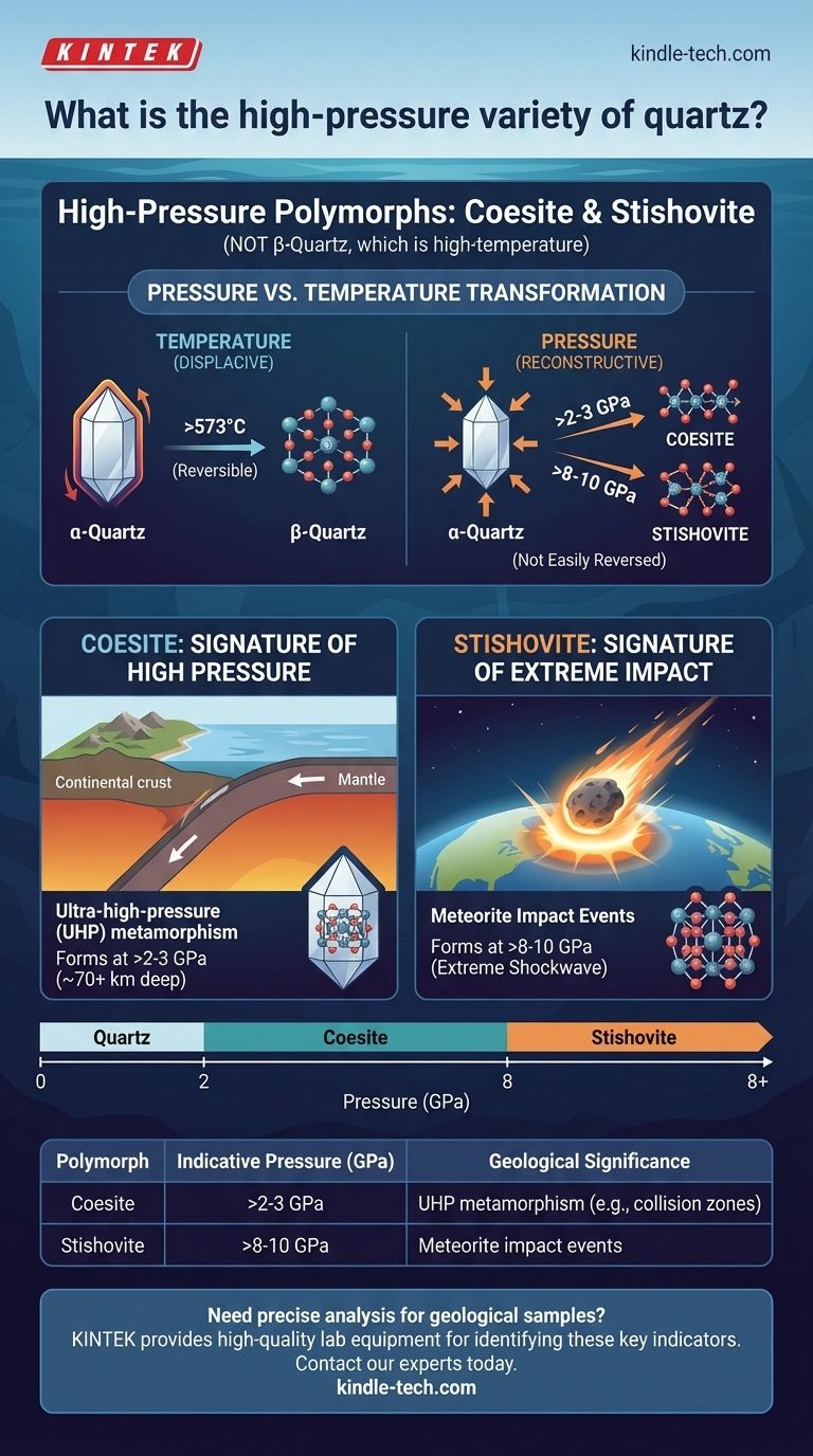 What is the high pressure variety of quartz? Discover Coesite and Stishovite Visual Guide
