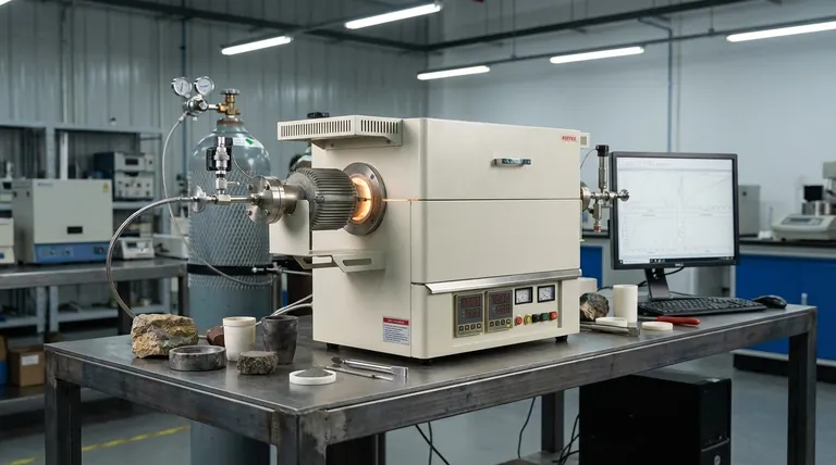 Qual è la varietà di quarzo ad alta pressione? Scopri Coesite e Stishovite