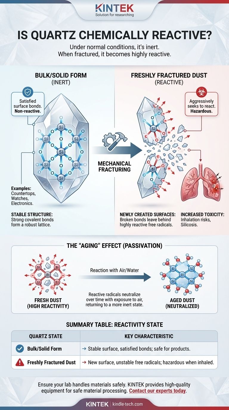 Is quartz chemically reactive? The Hidden Danger of Freshly Fractured Dust Visual Guide