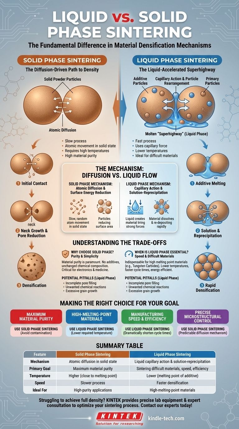 Quelle est la différence entre le frittage en phase liquide et le frittage en phase solide ? Atteindre une densité matérielle optimale Guide Visuel