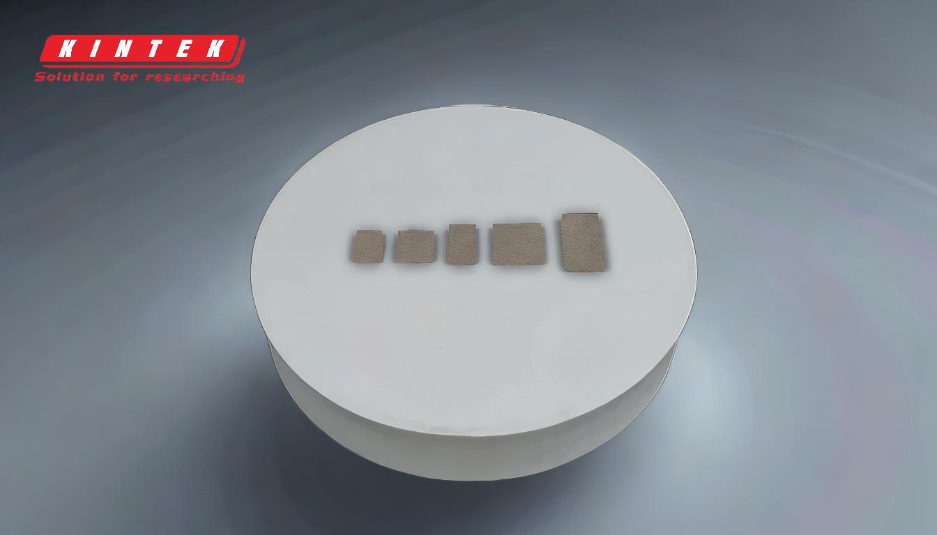 Come si chiama un test sui metalli? Scoprite i principali strumenti diagnostici per la tossicità da metalli pesanti