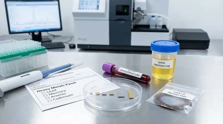 ¿Cómo se llama una prueba de metales? Una guía sobre paneles de metales pesados y pruebas de exposición tóxica