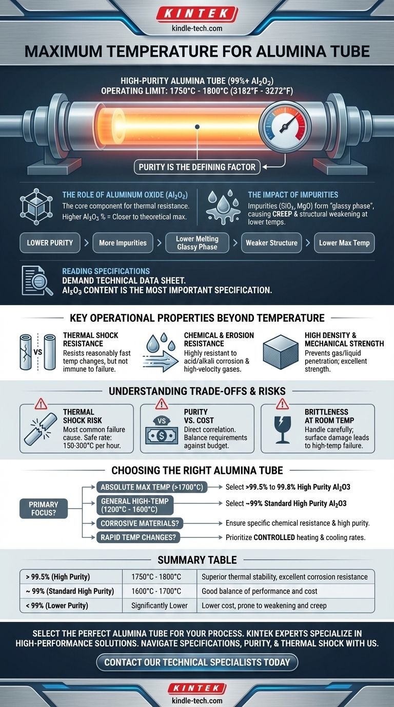 Qual è la temperatura massima per un tubo di allumina? Sblocca il suo pieno potenziale con l'alta purezza Guida Visiva