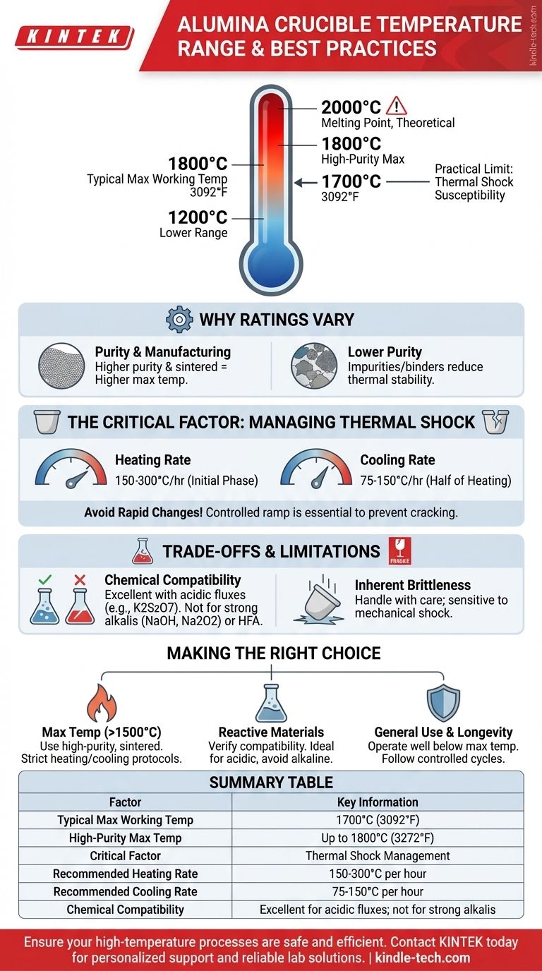 ما هو نطاق درجة الحرارة لأكواب الألومينا؟ العوامل الرئيسية للاستخدام الآمن في درجات الحرارة العالية دليل مرئي