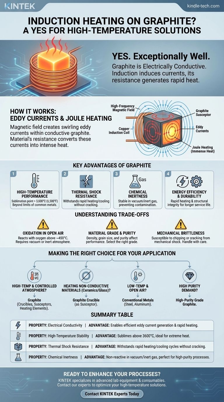 Il riscaldamento a induzione funziona sulla grafite? Ottieni precisione ed efficienza ad alta temperatura Guida Visiva