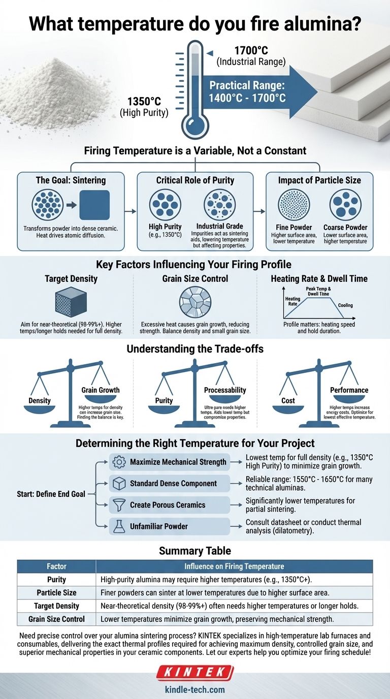 ما هي درجة الحرارة التي يتم بها حرق الألومينا؟ تحقيق الكثافة والقوة المثلى دليل مرئي