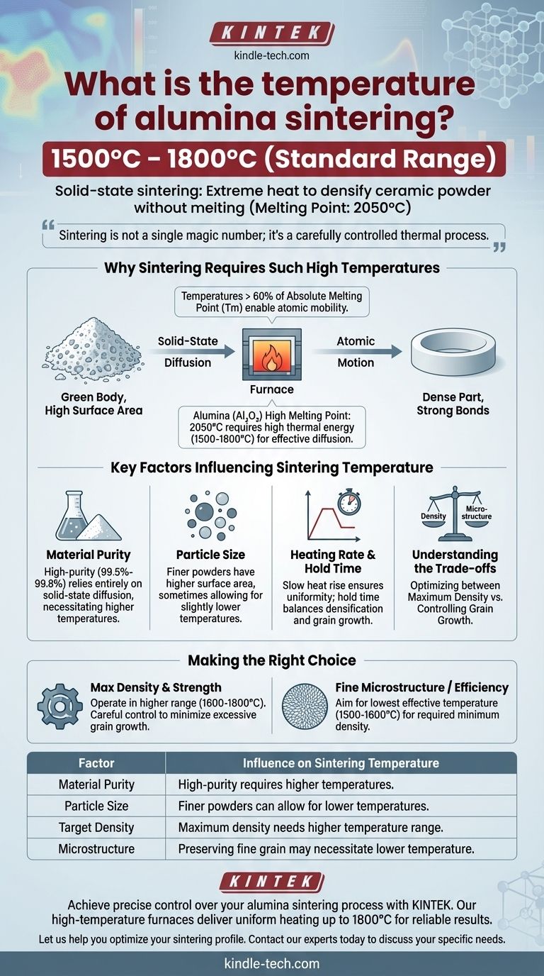 ما هي درجة حرارة تلبيد الألومينا؟ دليل لتحقيق الكثافة المثلى للسيراميك دليل مرئي