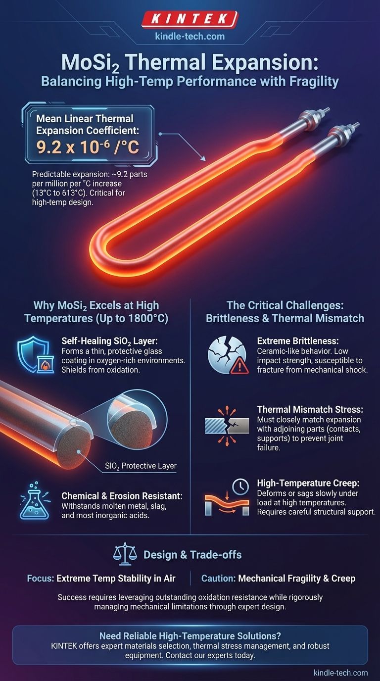 Was ist der Wärmeausdehnungskoeffizient von Molybdändisilizid? Verständnis seiner Rolle im Hochtemperaturdesign Visuelle Anleitung