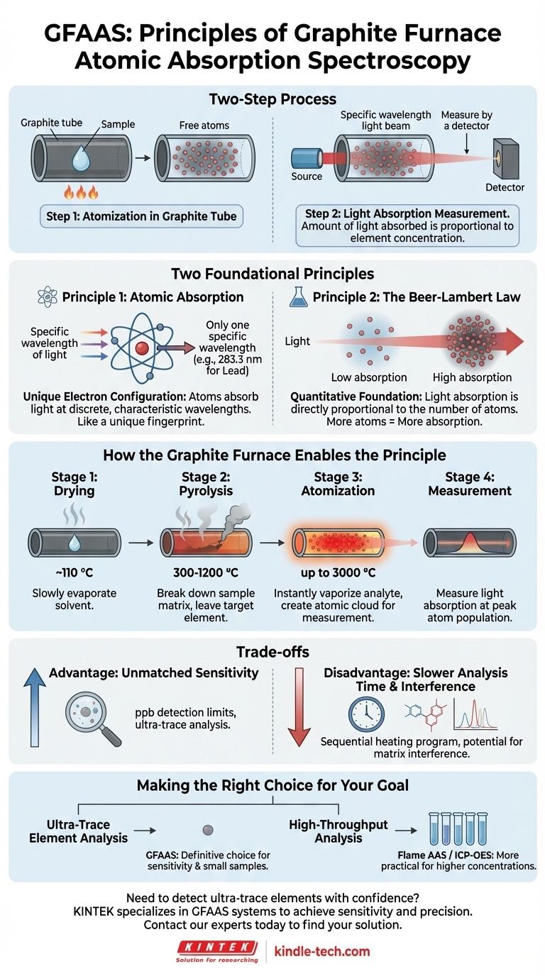 Quel est le principe de base de la spectroscopie d'absorption atomique à four en graphite ? Atteindre la détection d'éléments ultra-traces Guide Visuel