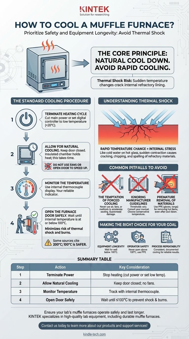 Comment refroidir un four à moufle ? Assurer la sécurité et maximiser la durée de vie de l'équipement Guide Visuel