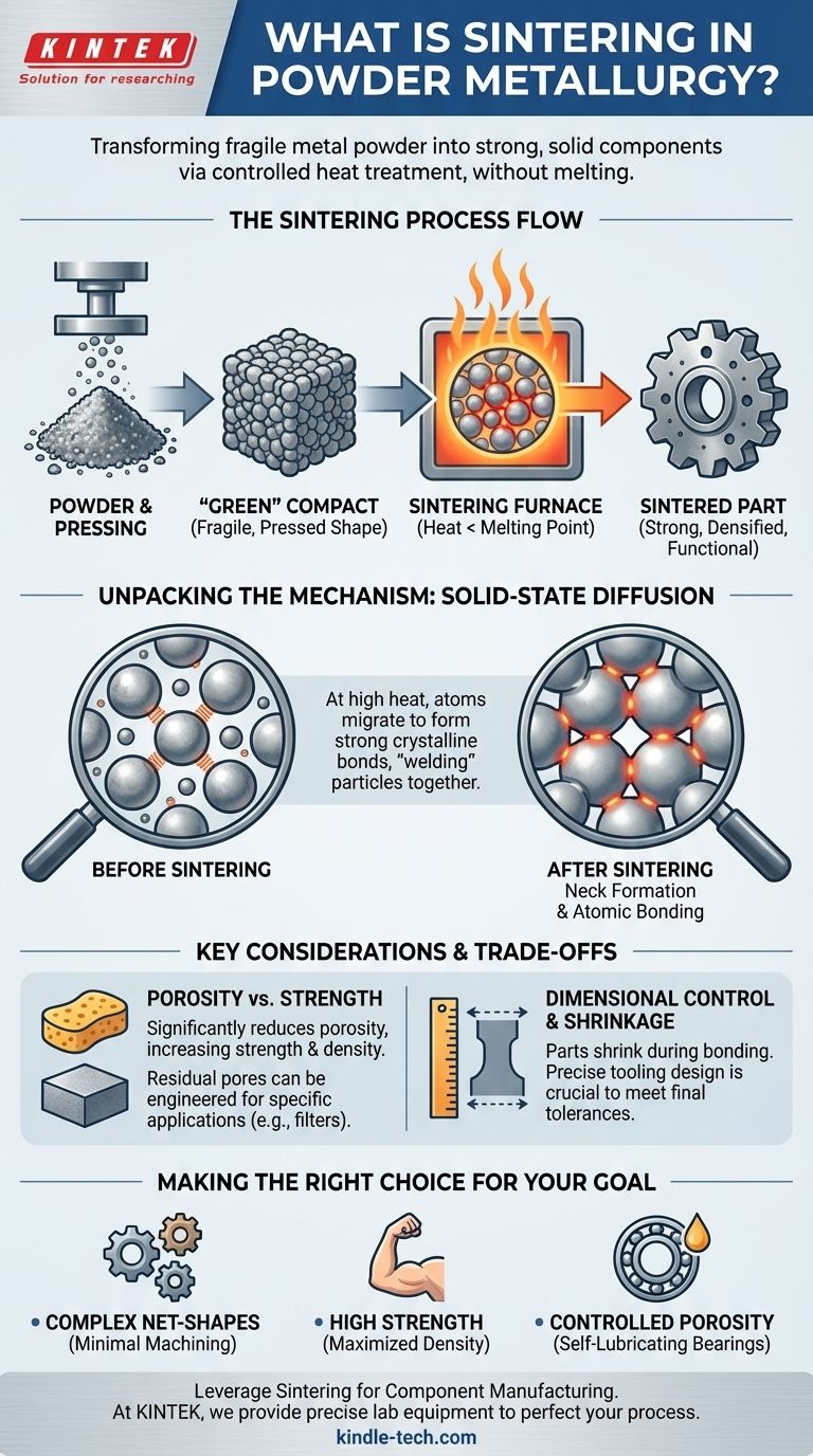 What is the process of sintering in powder metallurgy? Transform Powder into Strong Metal Parts Visual Guide