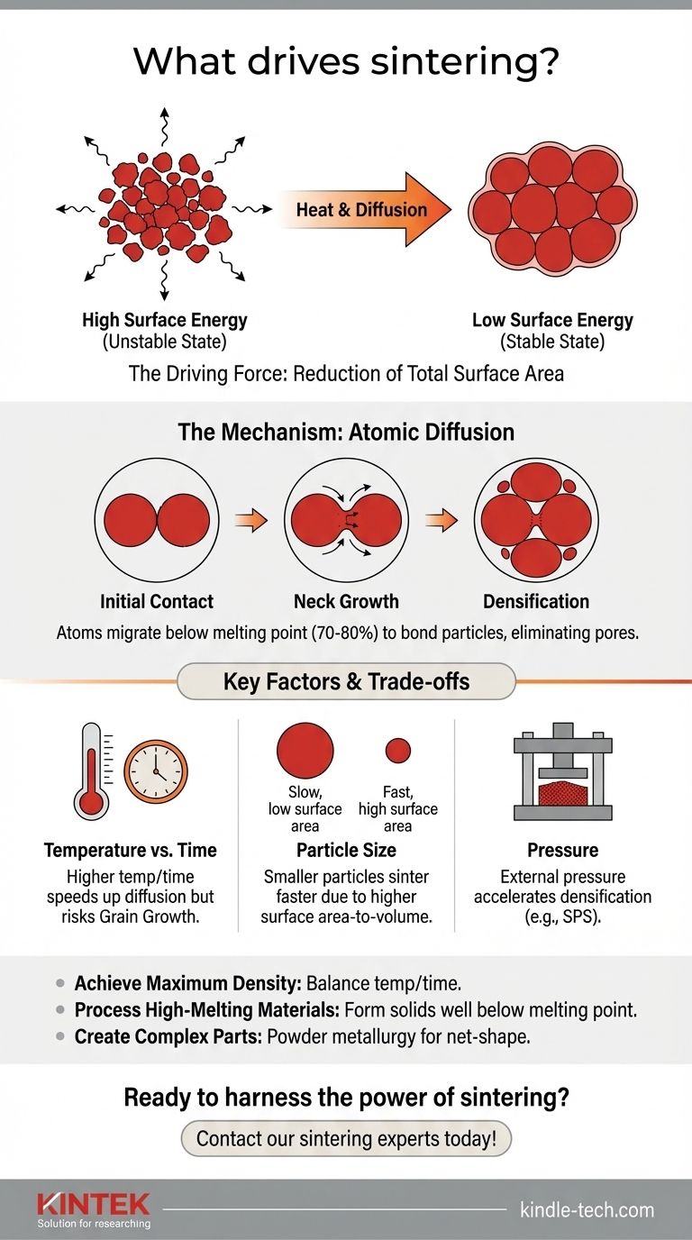 O que impulsiona a sinterização? A Ciência de Transformar Pó em Peças Densas e Fortes Guia Visual