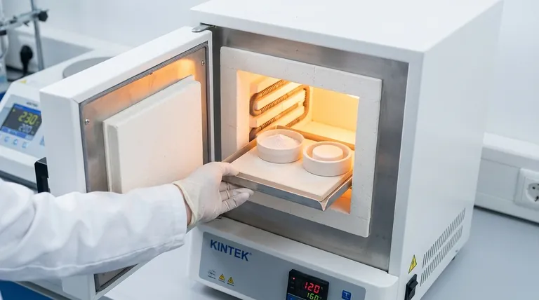 Qual è la forza motrice termodinamica della sinterizzazione? La chiave per ottenere la densificazione dei materiali