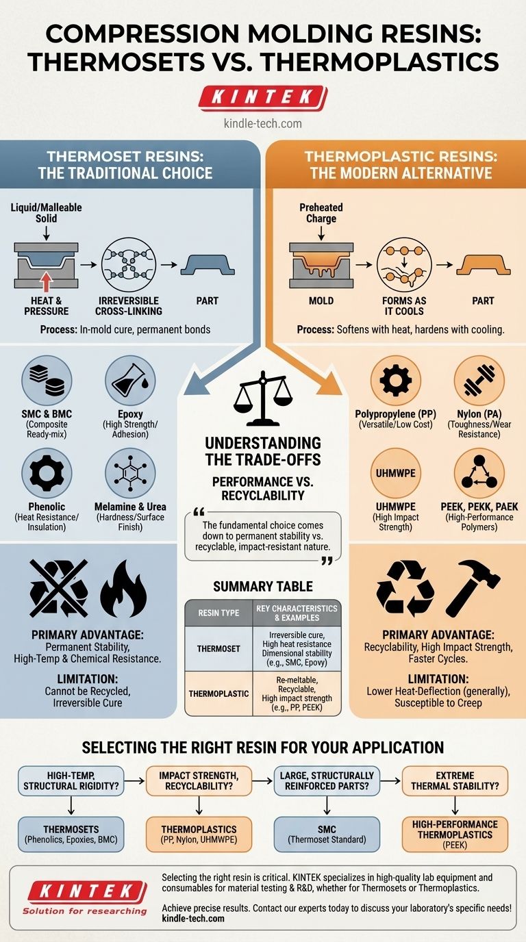 압축 성형에 사용되는 수지 유형은 무엇입니까? 열경화성 대 열가소성 수지 시각적 가이드
