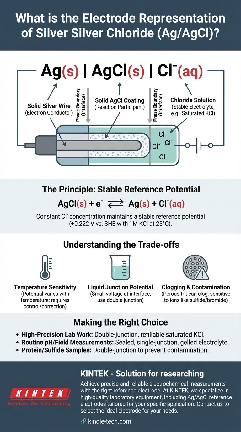 ما هو التمثيل القطبي للفضة/كلوريد الفضة؟ دليل لقطب الفضة/كلوريد الفضة المرجعي دليل مرئي