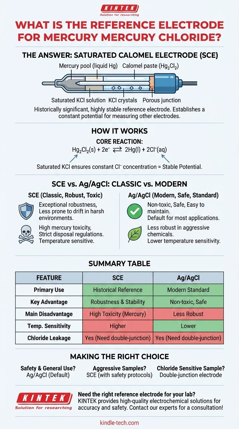 What is the reference electrode for mercury mercury chloride? Discover the Saturated Calomel Electrode (SCE) Visual Guide
