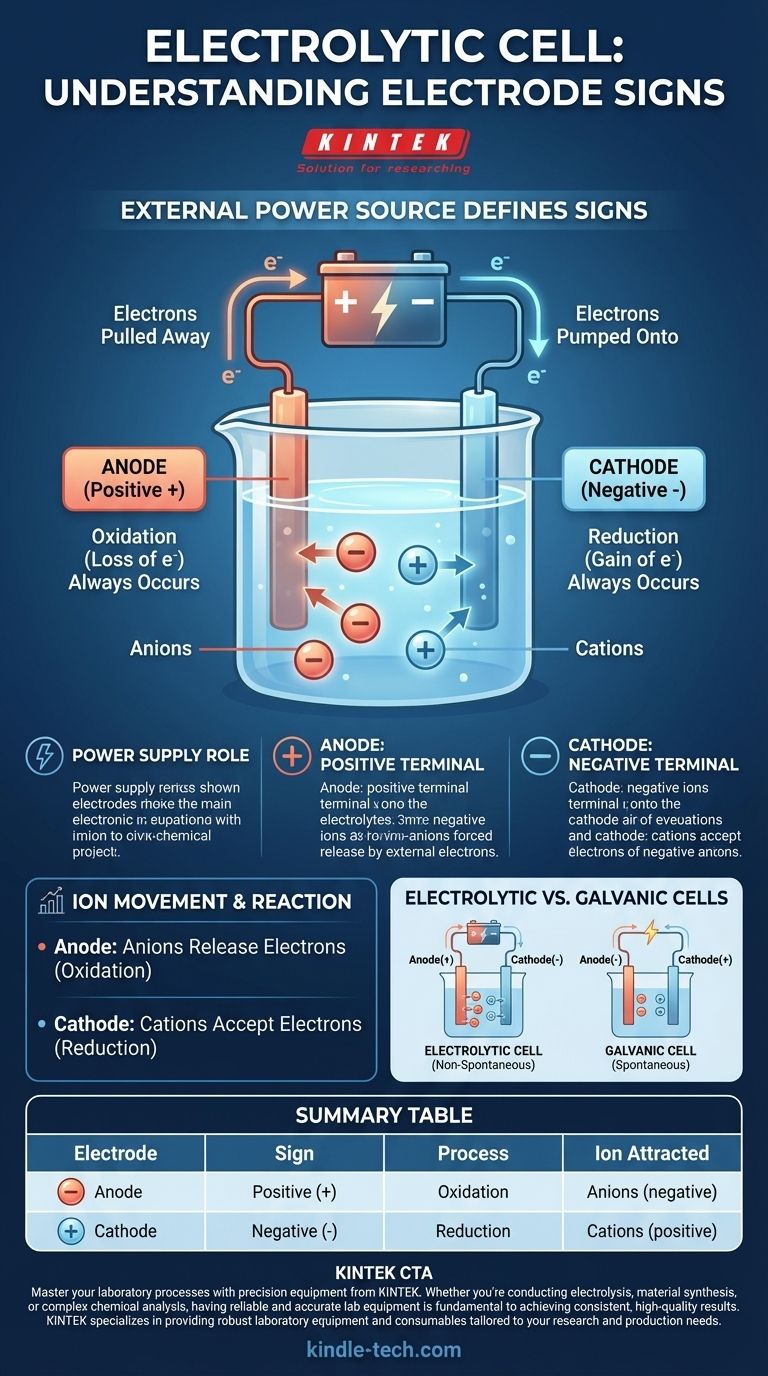 ما هي علامات الخلية الإلكتروليتية؟ فهم قطبية الأنود (+) والكاثود (-) دليل مرئي