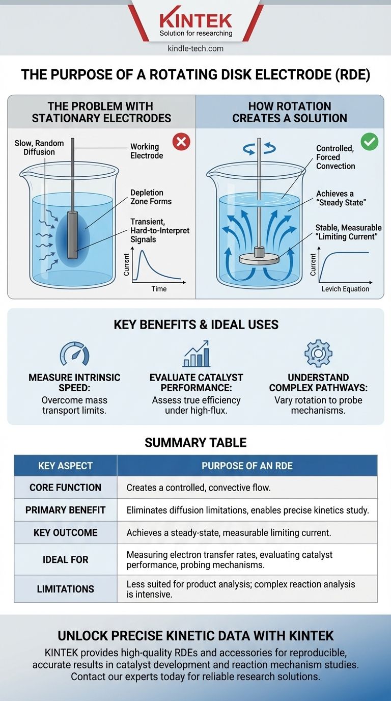 ¿Cuál es el propósito de un electrodo de disco rotatorio? Domine la cinética de reacción con flujo controlado Guía Visual