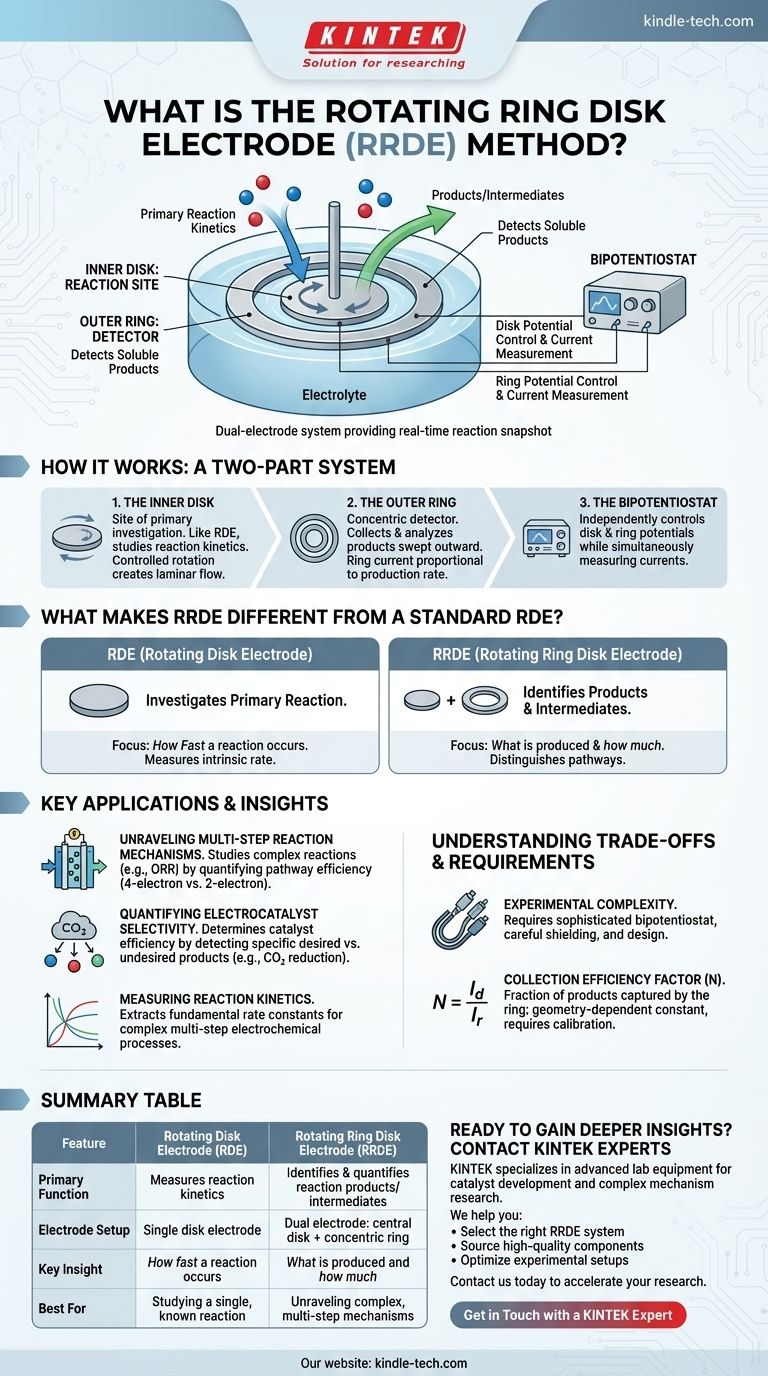 什么是旋转环盘电极法？解锁实时反应分析 图解指南