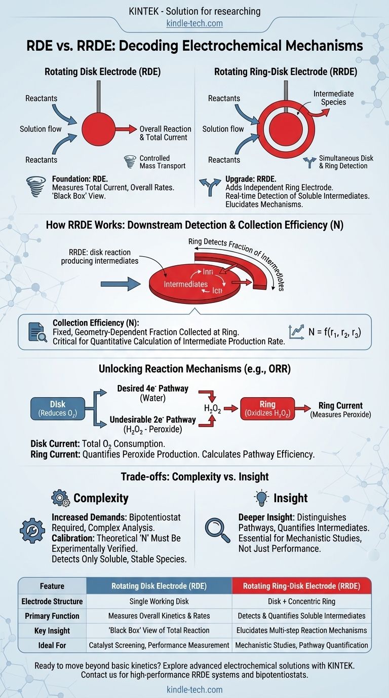 ما الفرق بين RDE و RRDE؟ اكتشف تحليل التفاعلات الكهروكيميائية المتقدمة دليل مرئي