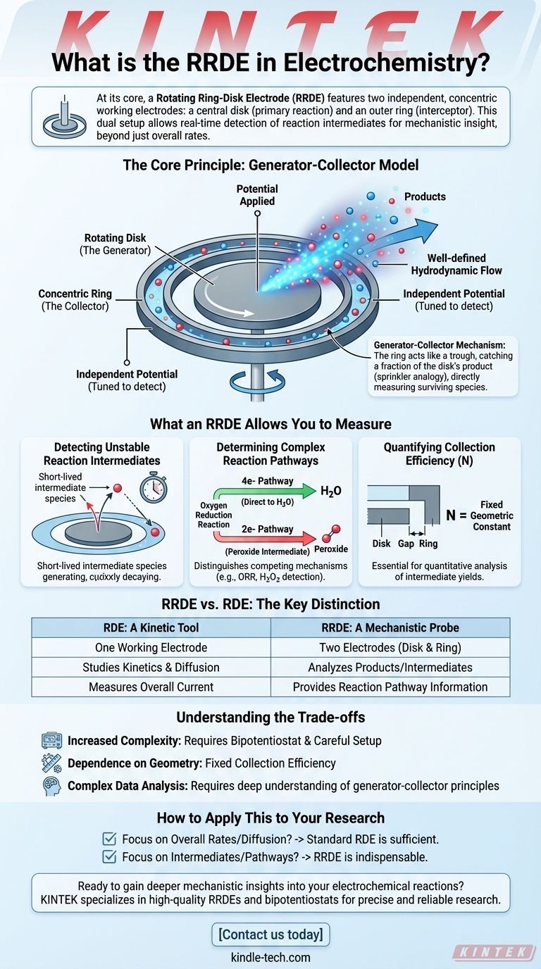 전기화학에서 RRDE란 무엇인가요? 이중 전극 분석으로 상세한 반응 경로를 파악하세요 시각적 가이드